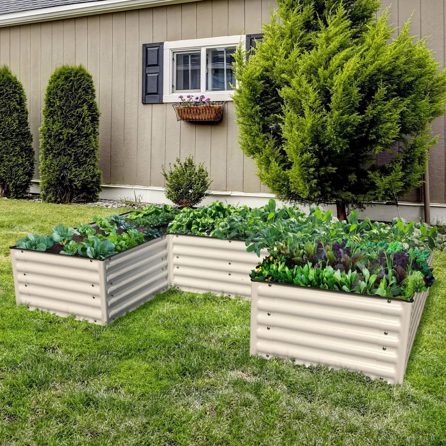 Olle Gardens 17" Tall "U" Shape Infinity Raised Garden Bed